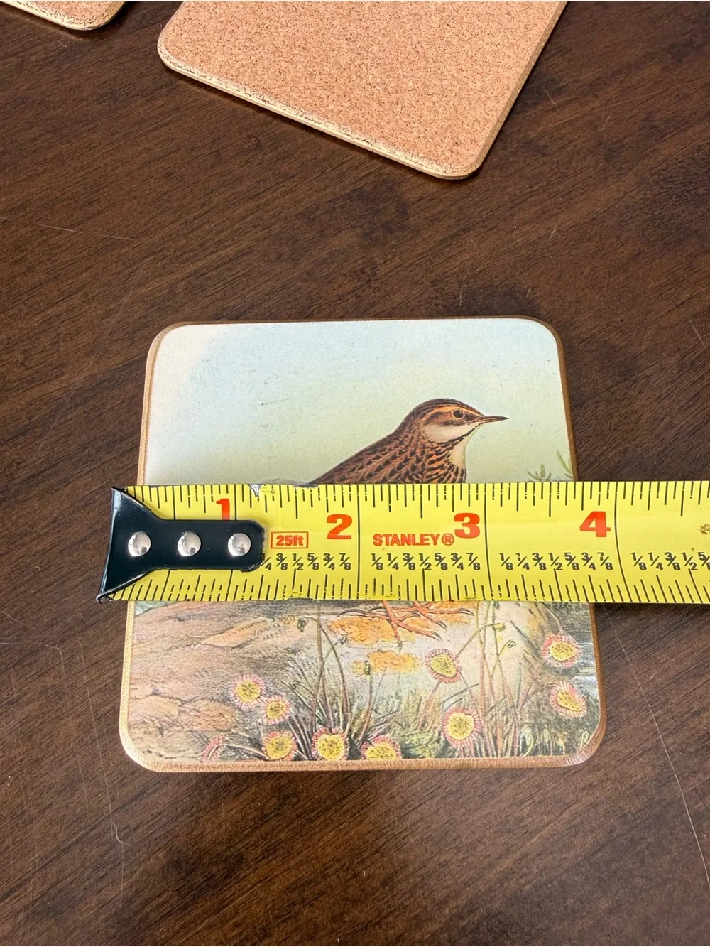 Vintage Bird Cork Back Coaster Set of 3 Cottagecore Nature Decor